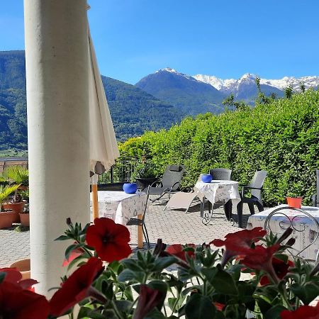 B&B Il Grappolo Bianzone Extérieur photo