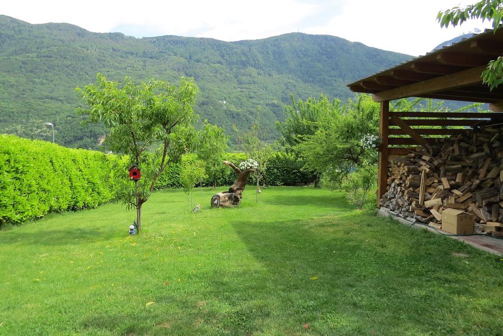 B&B Il Grappolo Bianzone Extérieur photo